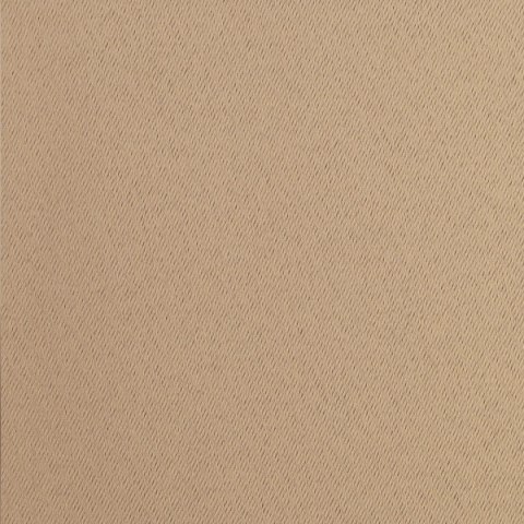 Vorhang BLACKOUT beige 135x250 Ösen