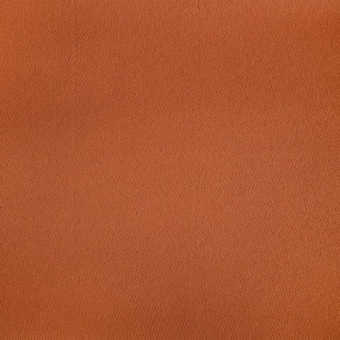 Vorhang BLACKOUT CEG 135x250 Ösen