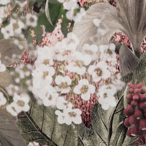 Vorhang GLORY ZI rosa 140x270 Kräuselband SZEL