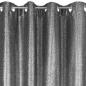 Vorhang GLOSSY CZ silber 140x250 Ösen