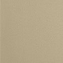 Vorhang PARISA beige 135x250 Ösen