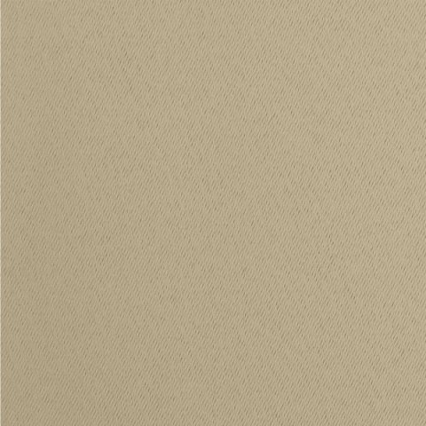 Vorhang PARISA beige 135x270 Tunnelzug Kräuselband