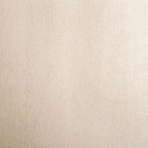 Vorhang RIA hellbeige 140x250 Ösen 10